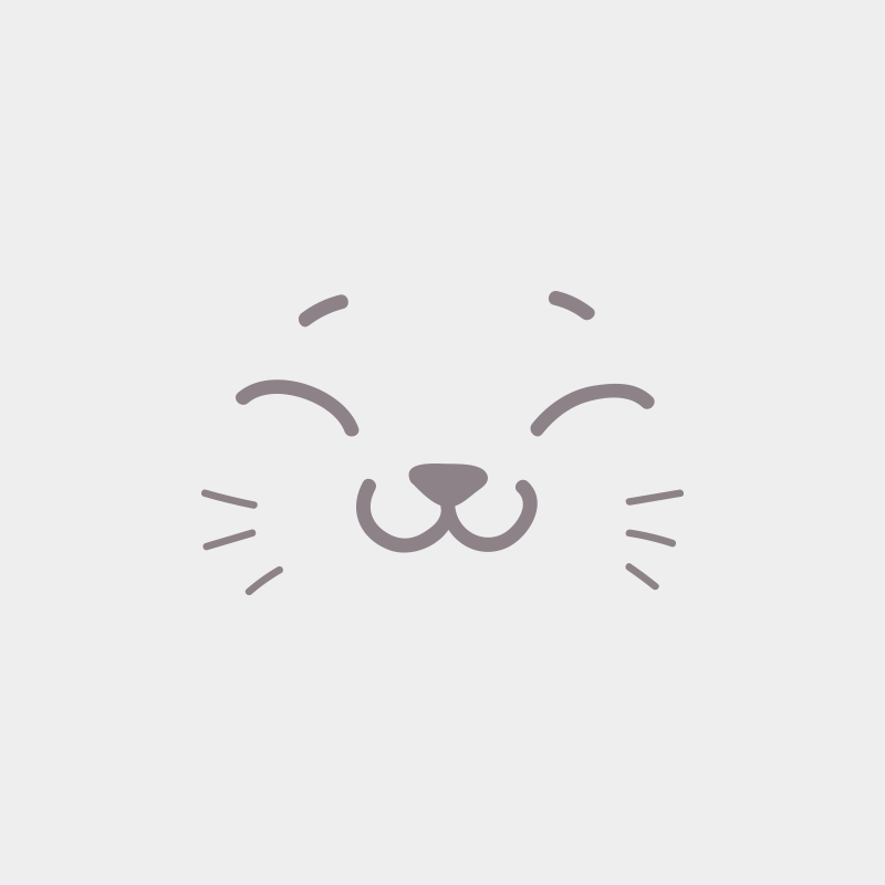 Saloon Mâle American Bobtail Longhair
